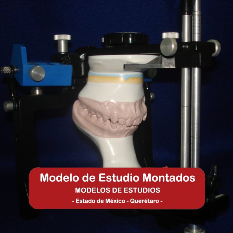 Modelo de Estudios Montados