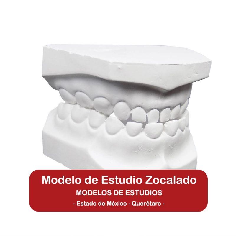 Modelo de Estudios Zocalados