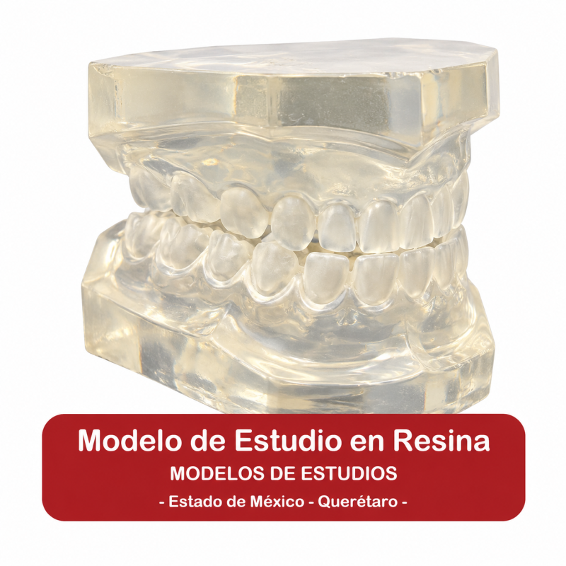 Modelo de Estudios en Resina